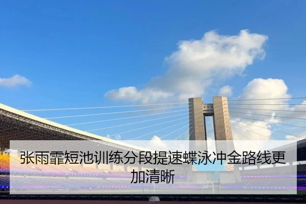 张雨霏短池训练分段提速蝶泳冲金路线更加清晰